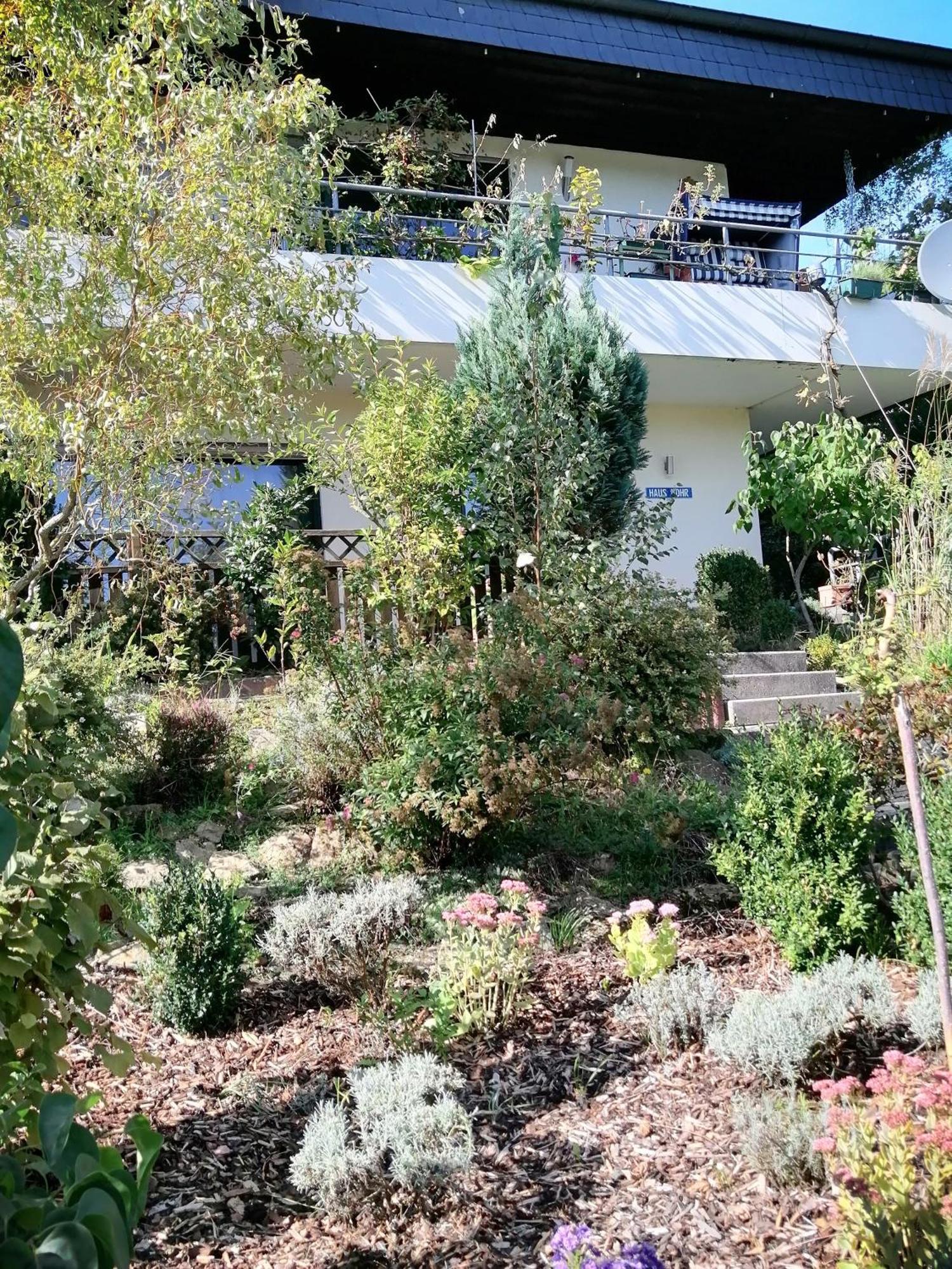 Haus Mohr - Ferienwohnung Im Taunus Weilmunster Экстерьер фото